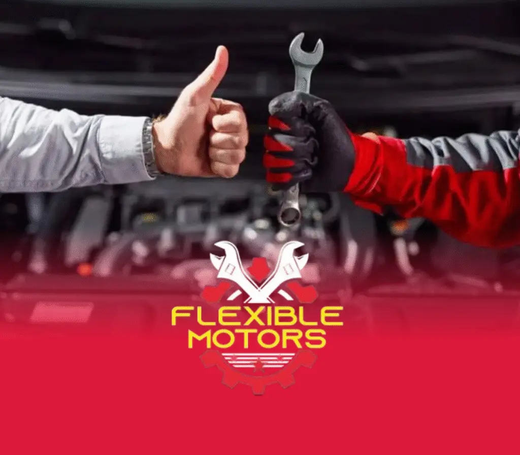 flexible motors 1